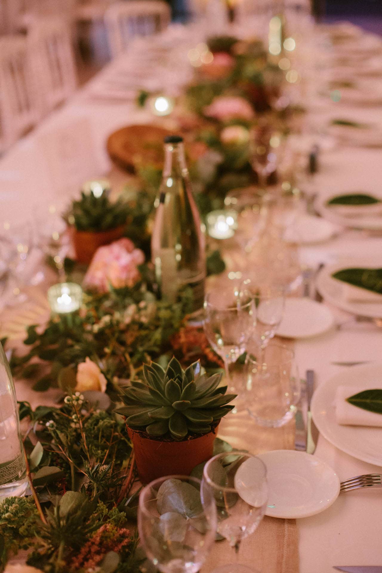 centre-table-succulente-vegetal-mariage