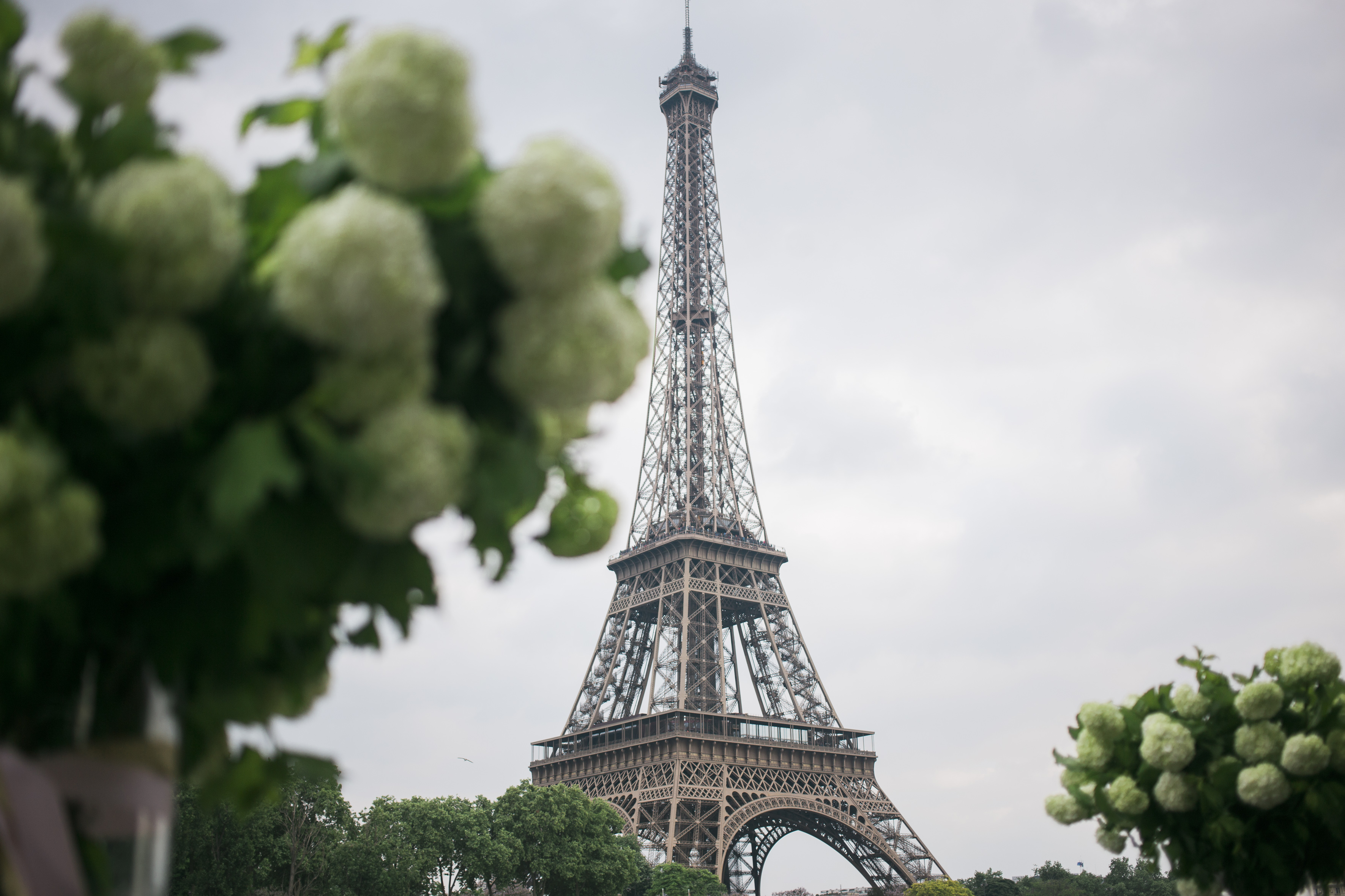Vue sur la tour Eiffel